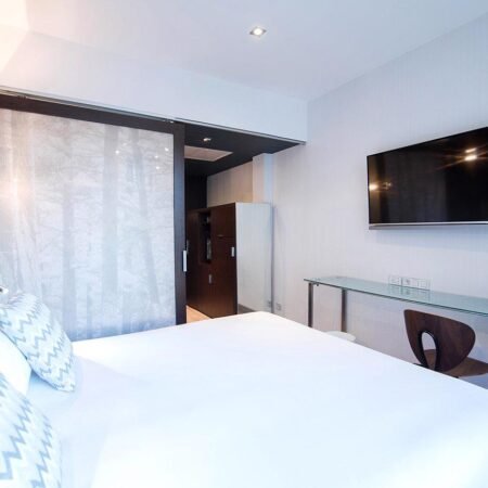 Petit Palace Castellana
