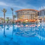 Calyptus Kirman Premium