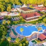 Gypsophila Club Marine