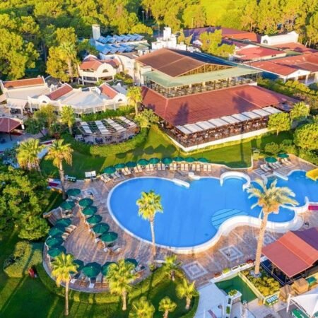 Gypsophila Club Marine